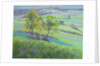 Towards Winchelsea, Sussex, with Bluebells in Spring by Anne Durham