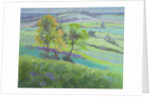 Towards Winchelsea, Sussex, with Bluebells in Spring by Anne Durham