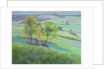 Towards Winchelsea, Sussex, with Bluebells in Spring by Anne Durham