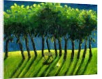 Zebra Trees, 2005 by Gigi Sudbury