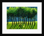 Zebra Trees, 2005 by Gigi Sudbury