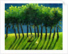 Zebra Trees, 2005 by Gigi Sudbury