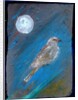 Moon Bird, 2016 by Gigi Sudbury