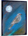 Moon Bird, 2016 by Gigi Sudbury