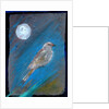 Moon Bird, 2016 by Gigi Sudbury