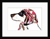 Pooch In Pucci, 2012 by Jo Chambers
