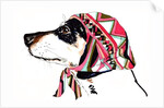 Pooch In Pucci, 2012 by Jo Chambers