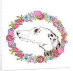 Silvertips Greyhound With Floral Border, 2012 by Jo Chambers