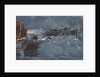 Wide expanse with 300 newts, 2014 by Catherine Sutcliffe-Fuller