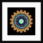 Tropical Fish Wheel 2, 2016 by Robyn Parker