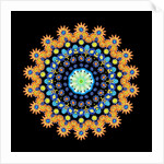 Tropical Fish Wheel 2, 2016 by Robyn Parker