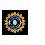 Tropical Fish Wheel 2, 2016 by Robyn Parker