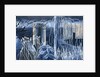 Oxford Castle and the Enchanted Forest, 2014 by Charlotte Orr