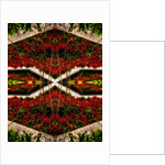 Red Flower Bed, 2015 by Ant Smith