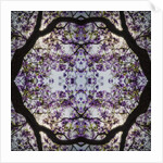 Lilac Tree, 2015 by Ant Smith