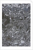 Melting II by K.B. White