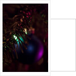 Hidden by K.B. White