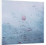 Lotus, 2011 by Luke Elwes