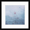 Lotus, 2011 by Luke Elwes