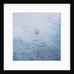 Lotus, 2011 by Luke Elwes