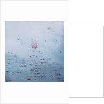 Lotus, 2011 by Luke Elwes