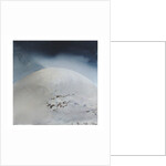 Stardust, 2010 by Luke Elwes