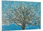 Spring, 2016 by Luke Elwes