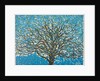 Spring, 2016 by Luke Elwes