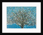 Spring, 2016 by Luke Elwes