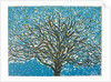 Spring, 2016 by Luke Elwes