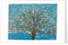 Spring, 2016 by Luke Elwes