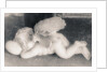 Sleeping Cherub, 2016 by Joy Lions