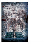 The Book of Common Prayer by Joy Lions