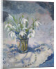 Snowdrops, 2013 by Sue Wales