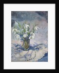 Snowdrops, 2013 by Sue Wales