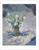 Snowdrops, 2013 by Sue Wales
