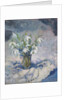 Snowdrops, 2013 by Sue Wales