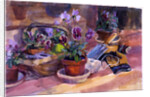 Potting up the pansies, 1996 by Sue Wales