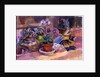 Potting up the pansies, 1996 by Sue Wales