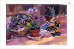 Potting up the pansies, 1996 by Sue Wales