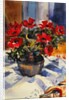 Red anemones, 1994 by Sue Wales