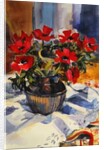Red anemones, 1994 by Sue Wales