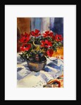Red anemones, 1994 by Sue Wales