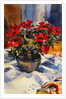 Red anemones, 1994 by Sue Wales