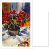 Red anemones, 1994 by Sue Wales