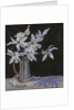 White Magnolias in Silver Jug, 2019 by Sue Wales