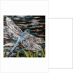 Dart - Emperor Dragonfly At Riverside, 2016 by Kirstie Adamson