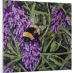 Buzz - Bumble Bee On Lavender, 2016 by Kirstie Adamson