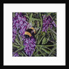 Buzz - Bumble Bee On Lavender, 2016 by Kirstie Adamson