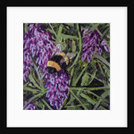 Buzz - Bumble Bee On Lavender, 2016 by Kirstie Adamson
